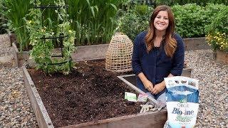 Planting For Fall Harvest! ‍// Garden Answer