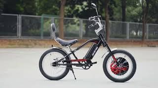 JOYSTAR 20INCH Ebike for Kids and Adults