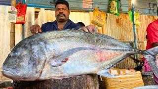 KASIMEDU  SPEED SELVAM | 37 KG GIANT TREVALLY FISH CUTTING VIDEO | IN KASIMED | FF CUTTING 