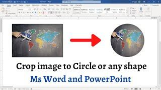 How to crop a picture into a circle or any shape in Word & PowerPoint [2022]