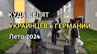 КУДА СЕЛЯТ УКРАИНСКИХ БЕЖЕНЦЕВ В ГЕРМАНИИ В 2024 ГОДУ