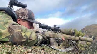 308win snipers Hogs and deer | Long Range Hunting | Big Recovery