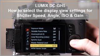 Panasonic - LUMIX G Series - DC-GH5 - How to select the display view settings.