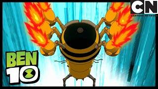 The Bees Knees | Ben 10 | Cartoon Network