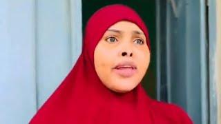 TOOS QOLKEYGA USO GAL SHACTARO //SOMALI TIKTOK ILA QOSOL QARAAXADA ADUUNKA