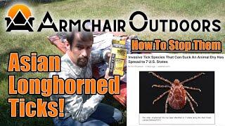 Keep the Family Safe with Permethrin: How To Stop Asian Longhorned Ticks and Mosquitoes