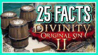 25 Interesting Facts You Didn't Know About Divinity: Original Sin 2!