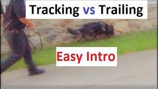 How to Train a Dog to Track (trail). An easy Intro (K9-1.com)