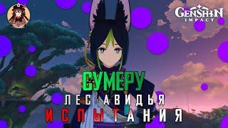 Genshin Impact. Сумеру. Лес Авидья. Испытания