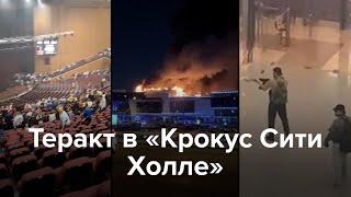 Теракт в «Крокус Сити Холле»