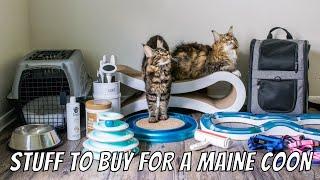Stuff to Buy Before Getting a Maine Coon