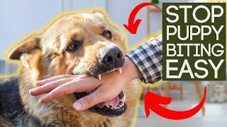 STOP PUPPY BITING IN SECONDS