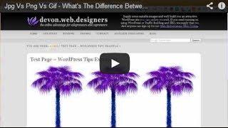 Jpg Vs Png Vs Gif - What's The Difference Between Image Formats?