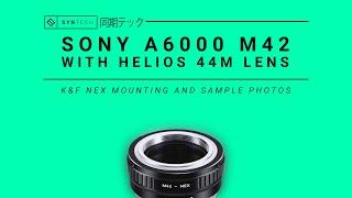 Sony A6000 & K&F Mount M42-NEX | Helios 44M | Sample Photos