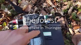 RØDE NT-SF1 - Forest Surround Soundscape Aufnahme