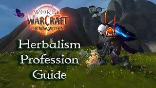 The War Within Herbalism Profession Guide - Treasures, Routes and Tricks!