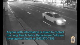 L.B.P.D. Seeks Public's Help in Identifying Fatal Hit-and-Run Driver in Nov. 2022 Traffic Collision