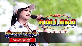 Banyu Langit Jihan Audy New Pallapa Wonosobo