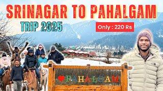 Pahalgam Kashmir Trip 2025 | Srinagar To Pahalgam | Pahalgam Tourist Places | Kashmir Tour Guide