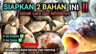 CARA MEMBUAT UMPAN JITU UNTUK IKAN MAS ‼️