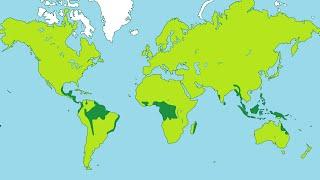 Facts about Tropical Rainforests