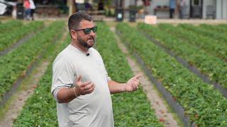 Local strawberry farmer overcomes hurricane setbacks to produce sweeter harvest