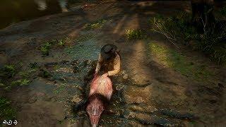 Red Dead Redemption 2 Hunting and Skinning Animals Gameplay