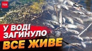 КИЯНАМ ЧАС ЗАПАСАТИСЬ ВОДОЮ? Брудна вода з Десни все ближче до столиці