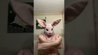 Bunny  Mask