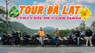 Tour Đà Lạt Giao Lưu | Chuyến Đi Đà Lạt 2N1Đ Cuối Năm Nghĩ Dưỡng Cùng Đồng Bọn  | Tích Travel #198