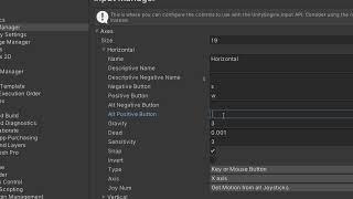 Setting up the Input Manager