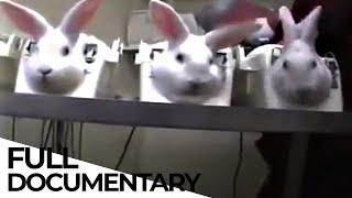 Bye Bye Guinea Pig? The Battle to STOP Animal Testing | Animal Rights | ENDEVR Documentary