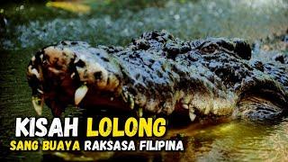 Lolong, Buaya Terbesar di Dunia yang Kematiannya Memicu Kontroversi