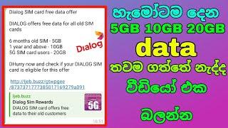 නොමිලේ හැමෝටම දෙන Dialog data 5Gb 10Gb 20 Gb Sri lanka 2024