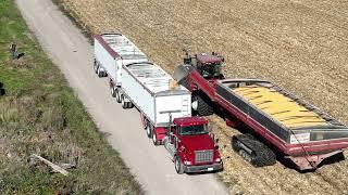 CANADIAN FARMER - BIG GUNS - HUGE Geringhoff 16 row corn head on a MONSTER Claas Lexion 8700 combine