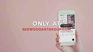 Spotlight Artists Collection – 6/25/2020 | Redwood Art Group