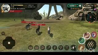 The Wolf - Pvp