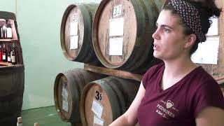 Frei Gigante Wine - Tripix Tour: Ft Pico Azores