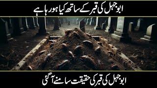 What Is Happening With The Grave Of Abu Jahal Urdu Hindi