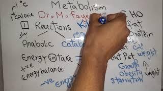 Metabolism new system (Introduction, Heat value, RQ, Metabolic rate and SDA) dr mohamed fayez