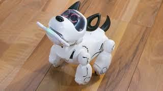 Tutoriel Robot PUPBO Français