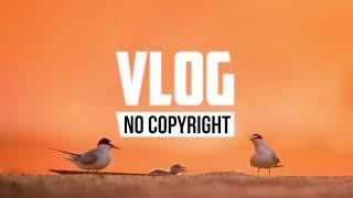 Alex Keeper - Can You Stay (Vlog No Copyright Music)