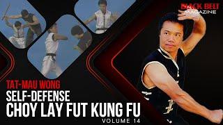 Choy Lay Fut Kung Fu (Vol 14) - Self-Defense with Tat-Mau Wong | Black Belt Magazine