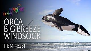 Orca Big Breeze Windsock | Wholesale Garden Décor | In the Breeze