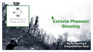 High Pheasant Shooting at Brimpsfield Park Estate, Pheasant Shooting with ELEY Zenith ProEco