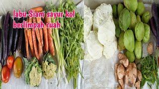 NGEKES SAYUR KOL LABU SIAM BERSERAKAN DI TINGGALIN PEDAGANG NYA