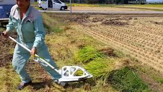 Manual paddy rice harvester made in Japan