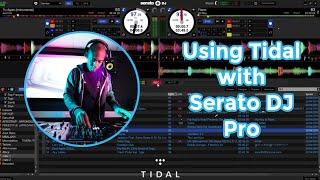 Using Serato DJ Pro with TIDAL - Grab the 4 month trial