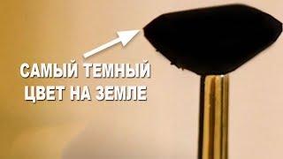 Самый темный цвет на Земле