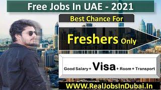 Jobs In Dubai For Freshers – UAE 2021